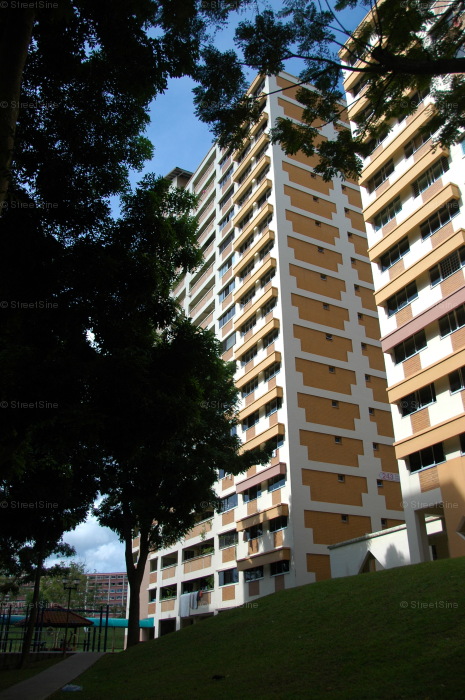 Blk 243 Bukit Panjang Ring Road (Bukit Panjang), HDB 5 Rooms #216872